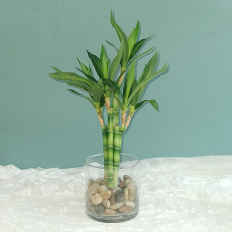 New 40cm Artificial Lucky Bamb - огляд і ціна Desk Setup Plant