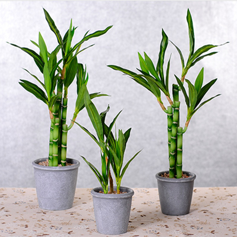 New 40cm Artificial Lucky Bamb - огляд і ціна Desk Setup Plant