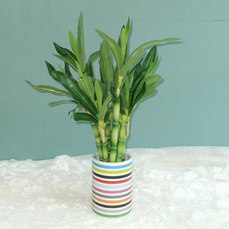 New 40cm Artificial Lucky Bamb - огляд і ціна Desk Setup Plant
