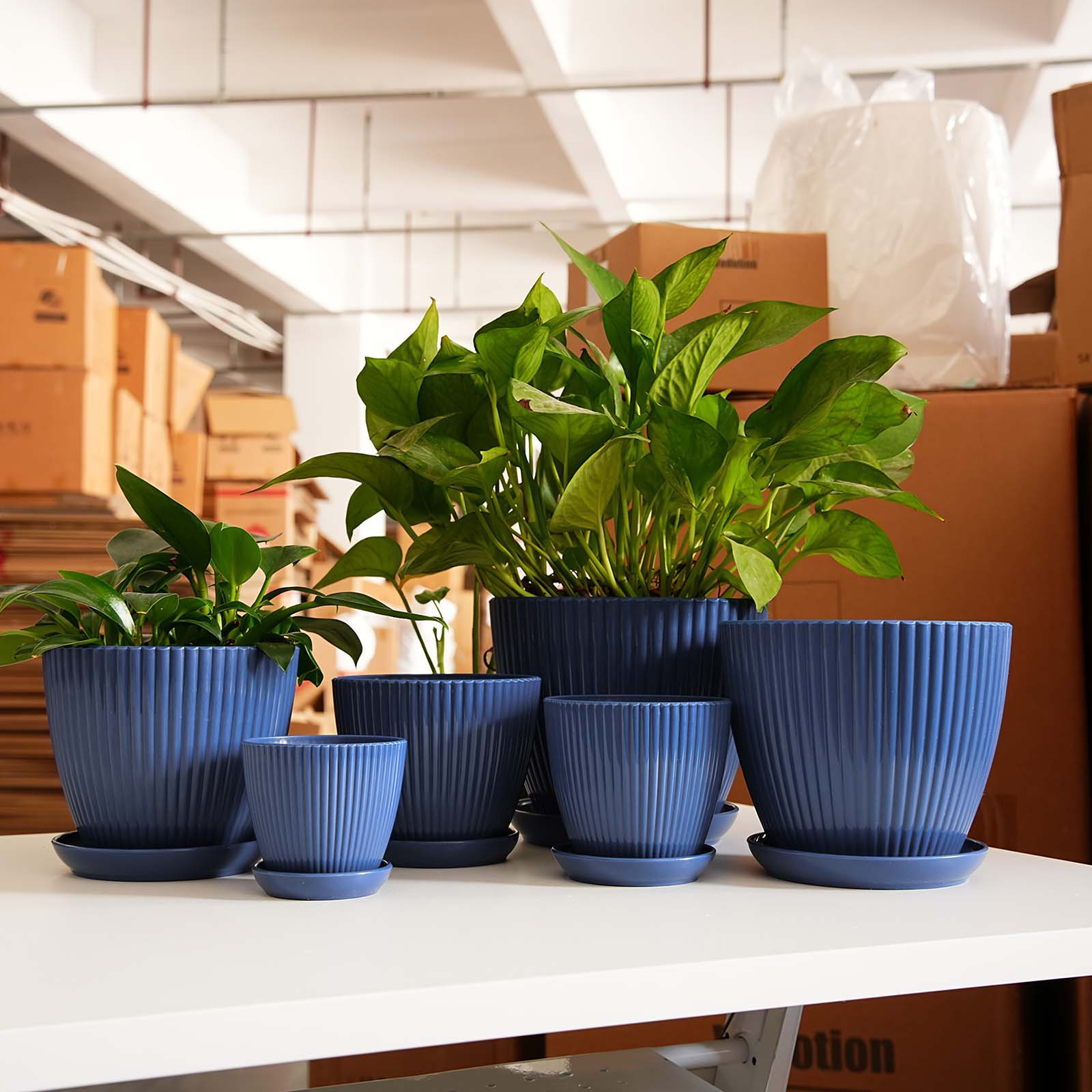 Vertical Striped Thickened Pla - огляд і ціна Desk Setup Plant