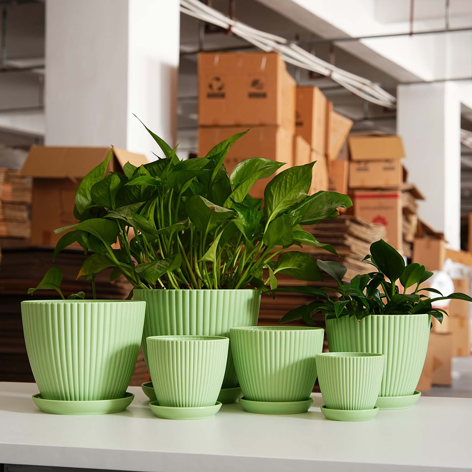 Vertical Striped Thickened Pla - огляд і ціна Desk Setup Plant